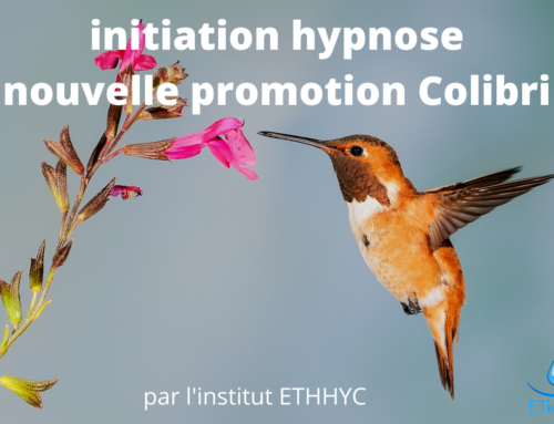 Lancement nouvelle promotion Colibri initiation à l’hypnose ericksonienne
